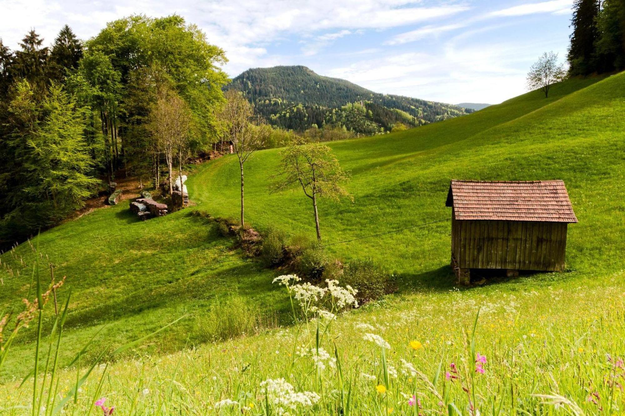 Ferienwohnung Am Kapellenberg - Am Rande Des Nationalparks Schwarzwald Bad Peterstal-Griesbach Exterior foto
